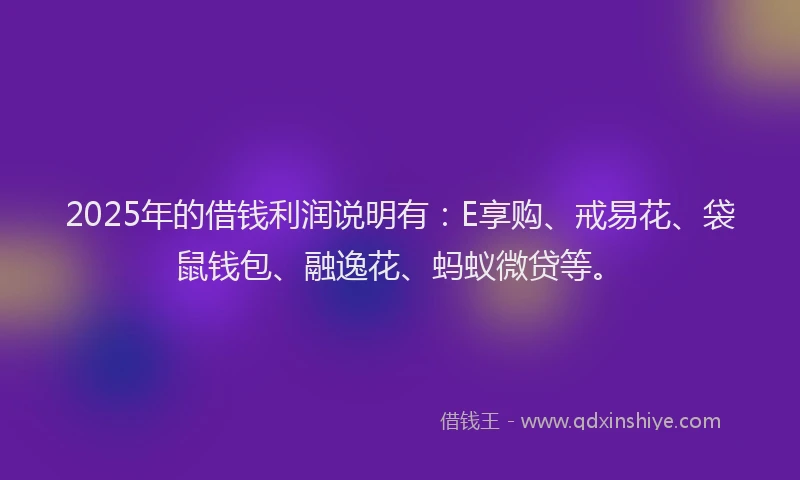 2025年的借钱利润说明有：E享购、戒易花、袋鼠钱包、融逸花、蚂蚁微贷等。