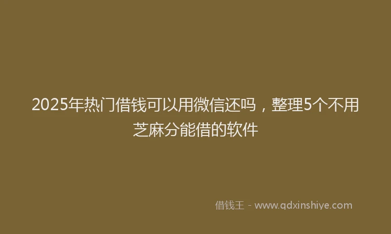 2025年热门借钱可以用微信还吗，整理5个不用芝麻分能借的软件