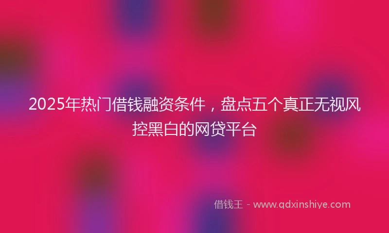 2025年热门借钱融资条件，盘点五个真正无视风控黑白的网贷平台