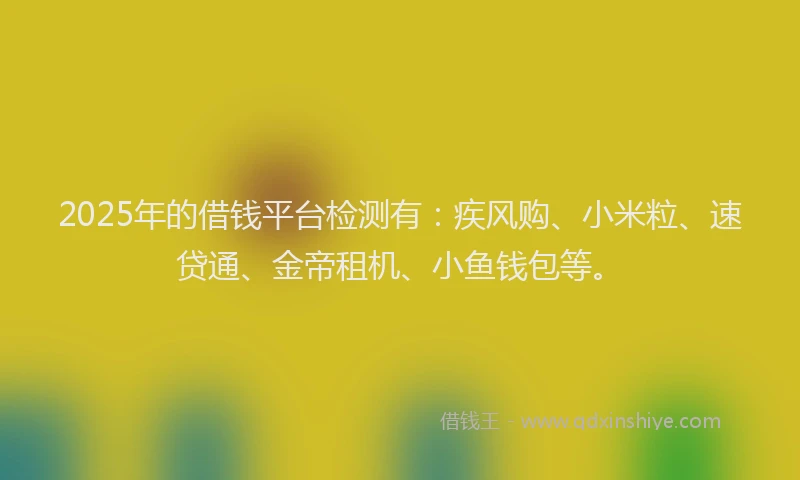2025年的借钱平台检测有：疾风购、小米粒、速贷通、金帝租机、小鱼钱包等。