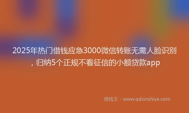 2025年热门借钱应急3000微信转账无需人脸识别，归纳5个正规不看征信的小额贷款app