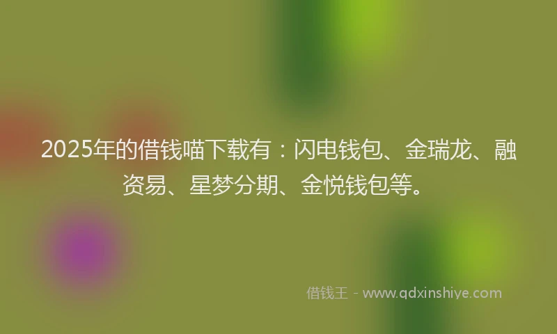 2025年的借钱喵下载有：闪电钱包、金瑞龙、融资易、星梦分期、金悦钱包等。