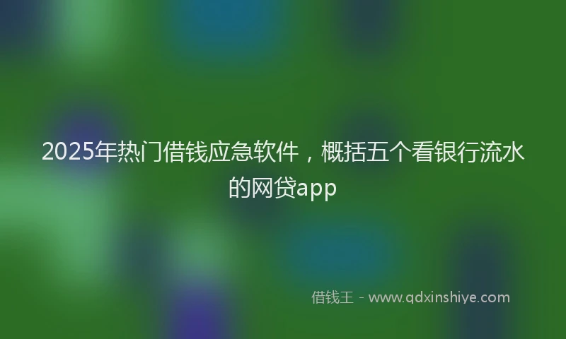 2025年热门借钱应急软件，概括五个看银行流水的网贷app