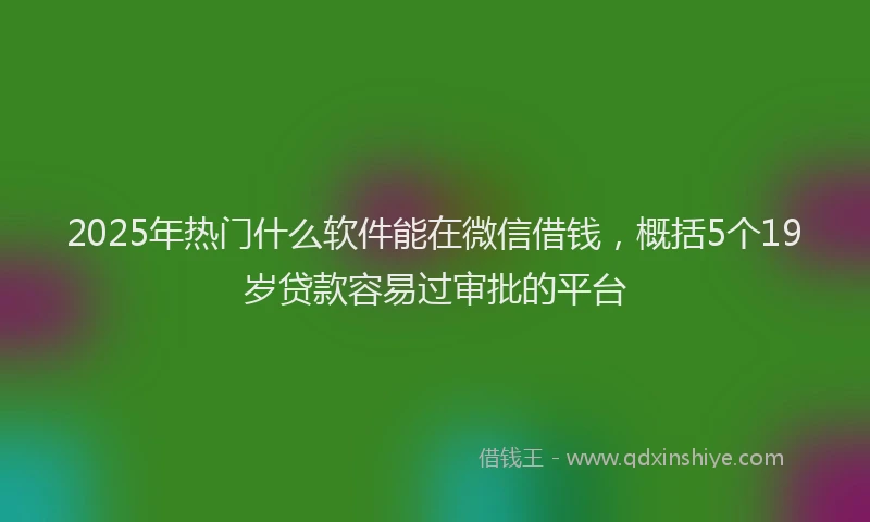 2025年热门什么软件能在微信借钱，概括5个19岁贷款容易过审批的平台