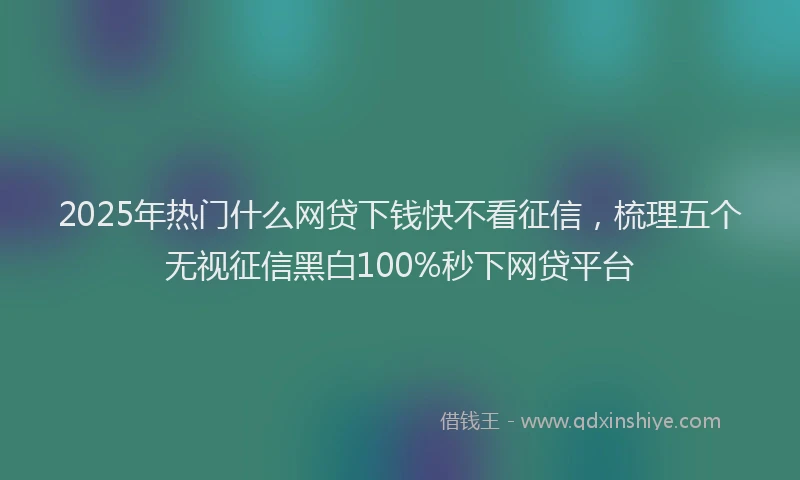 2025年热门什么网贷下钱快不看征信，梳理五个无视征信黑白100%秒下网贷平台