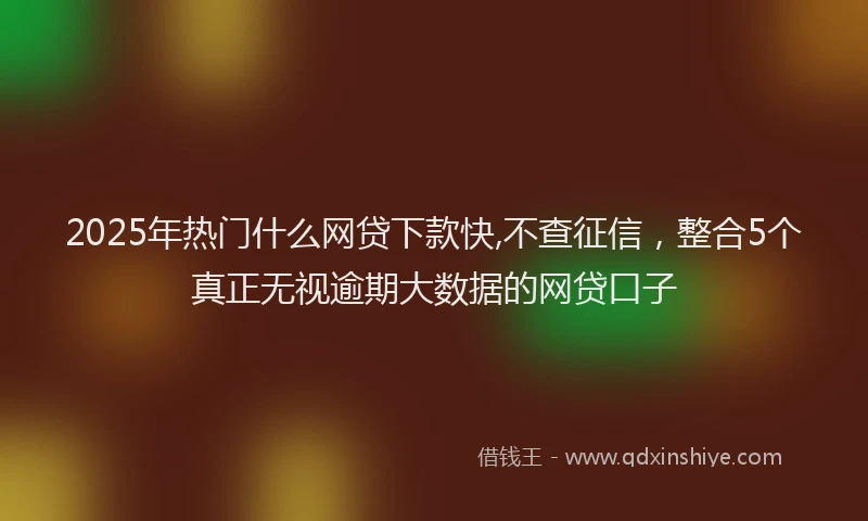 2025年热门什么网贷下款快,不查征信，整合5个真正无视逾期大数据的网贷口子