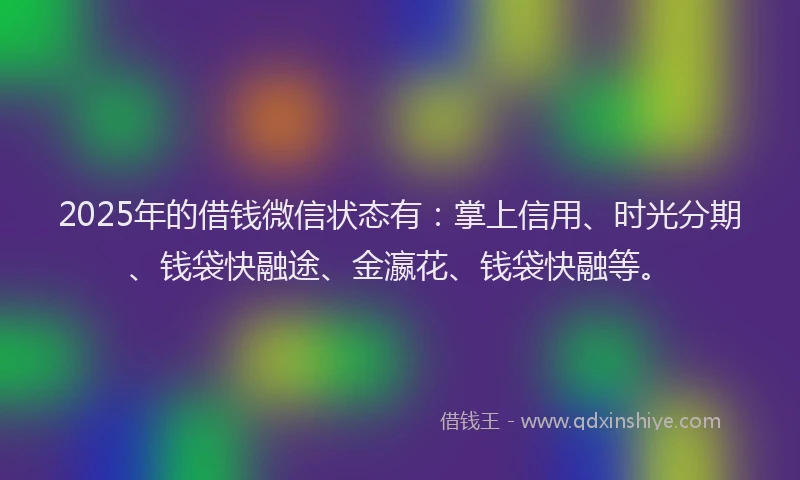 2025年的借钱微信状态有：掌上信用、时光分期、钱袋快融途、金瀛花、钱袋快融等。