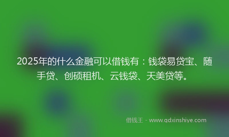 2025年的什么金融可以借钱有：钱袋易贷宝、随手贷、创硕租机、云钱袋、天美贷等。