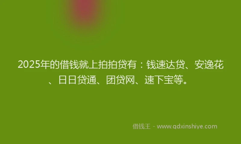 2025年的借钱就上拍拍贷有：钱速达贷、安逸花、日日贷通、团贷网、速下宝等。