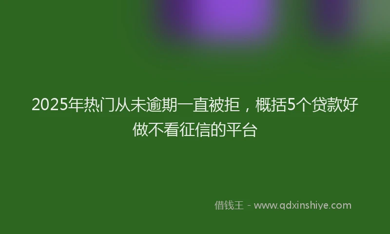 2025年热门从未逾期一直被拒，概括5个贷款好做不看征信的平台