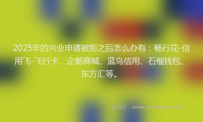 2025年的兴业申请被拒之后怎么办有：畅行花-信用飞-飞行卡、企鹅商城、蓝鸟信用、石榴钱包、东方汇等。