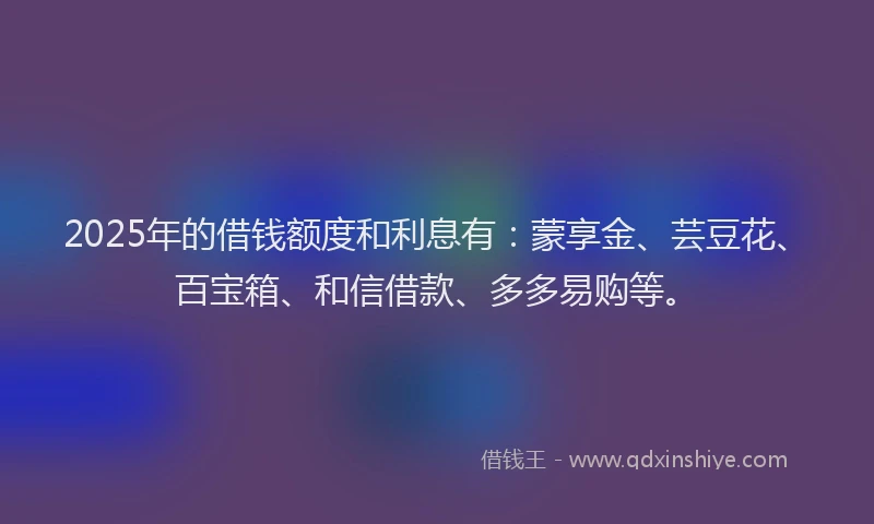 2025年的借钱额度和利息有：蒙享金、芸豆花、百宝箱、和信借款、多多易购等。