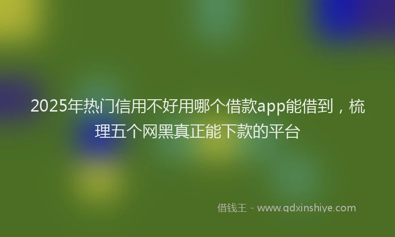 2025年热门信用不好用哪个借款app能借到，梳理五个网黑真正能下款的平台