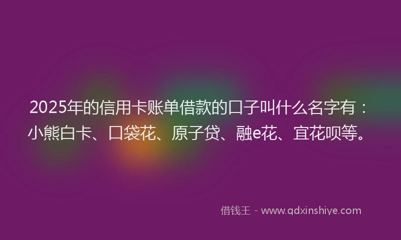 2025年的信用卡账单借款的口子叫什么名字有：小熊白卡、口袋花、原子贷、融e花、宜花呗等。