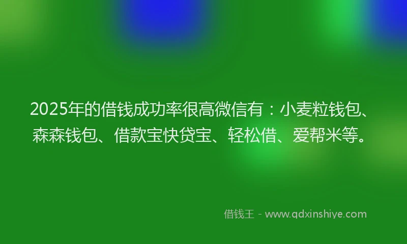 2025年的借钱成功率很高微信有：小麦粒钱包、森森钱包、借款宝快贷宝、轻松借、爱帮米等。