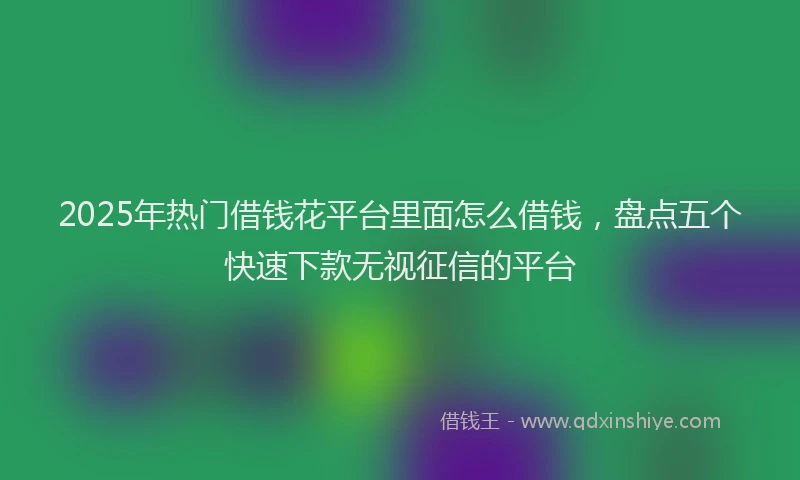 2025年热门借钱花平台里面怎么借钱，盘点五个快速下款无视征信的平台