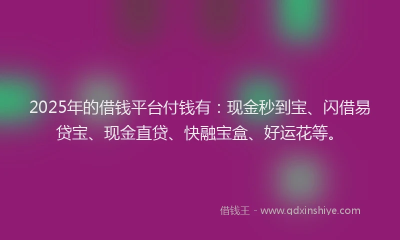 2025年的借钱平台付钱有：现金秒到宝、闪借易贷宝、现金直贷、快融宝盒、好运花等。