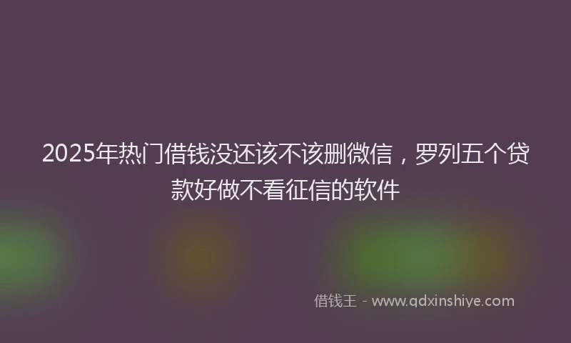 2025年热门借钱没还该不该删微信，罗列五个贷款好做不看征信的软件