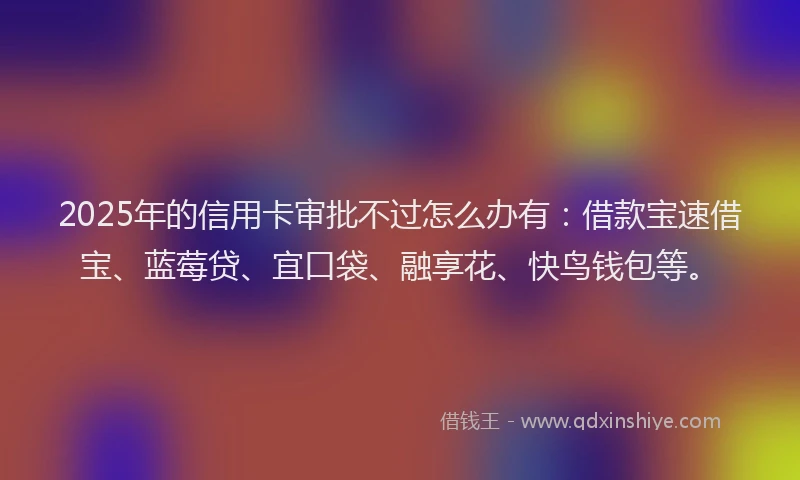 2025年的信用卡审批不过怎么办有：借款宝速借宝、蓝莓贷、宜口袋、融享花、快鸟钱包等。