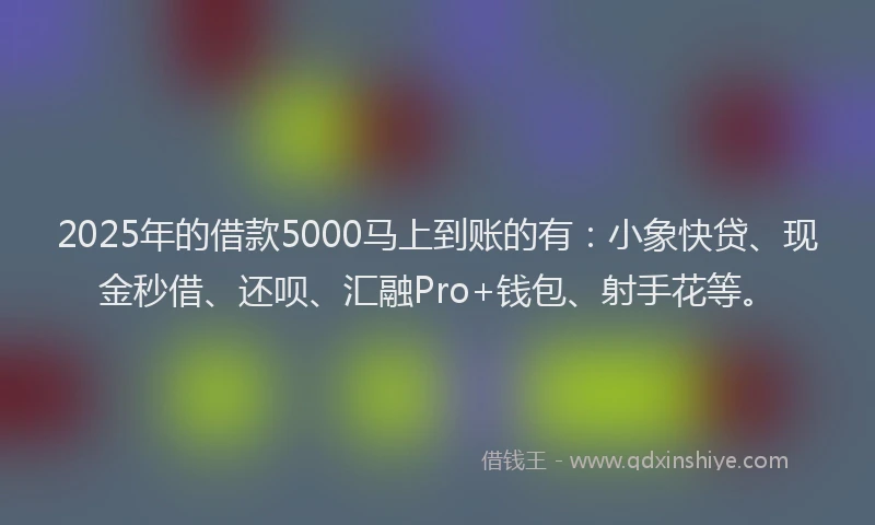 2025年的借款5000马上到账的有：小象快贷、现金秒借、还呗、汇融Pro+钱包、射手花等。