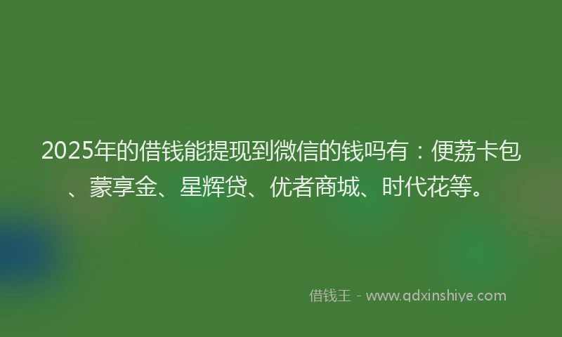 2025年的借钱能提现到微信的钱吗有：便荔卡包、蒙享金、星辉贷、优者商城、时代花等。