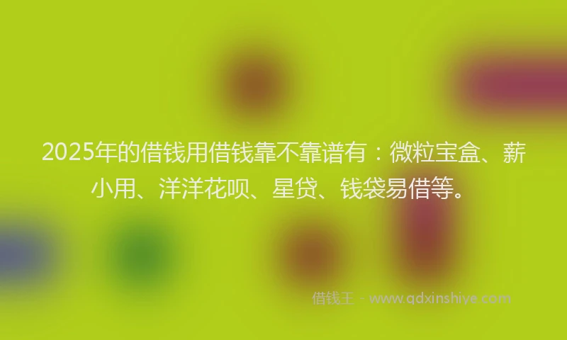 2025年的借钱用借钱靠不靠谱有：微粒宝盒、薪小用、洋洋花呗、星贷、钱袋易借等。
