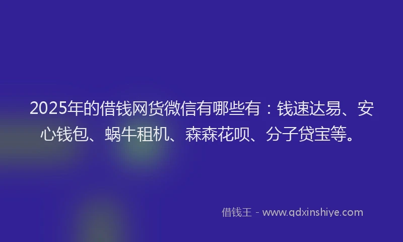 2025年的借钱网货微信有哪些有：钱速达易、安心钱包、蜗牛租机、森森花呗、分子贷宝等。