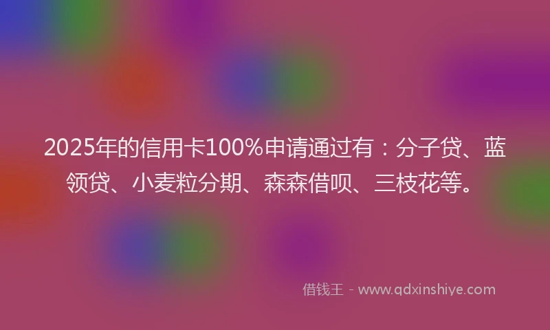 2025年的信用卡100%申请通过有：分子贷、蓝领贷、小麦粒分期、森森借呗、三枝花等。