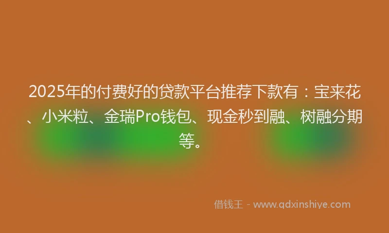 2025年的付费好的贷款平台推荐下款有：宝来花、小米粒、金瑞Pro钱包、现金秒到融、树融分期等。