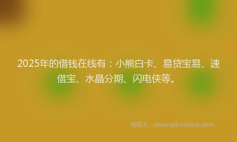 2025年的借钱在线有：小熊白卡、易贷宝易、速借宝、水晶分期、闪电侠等。