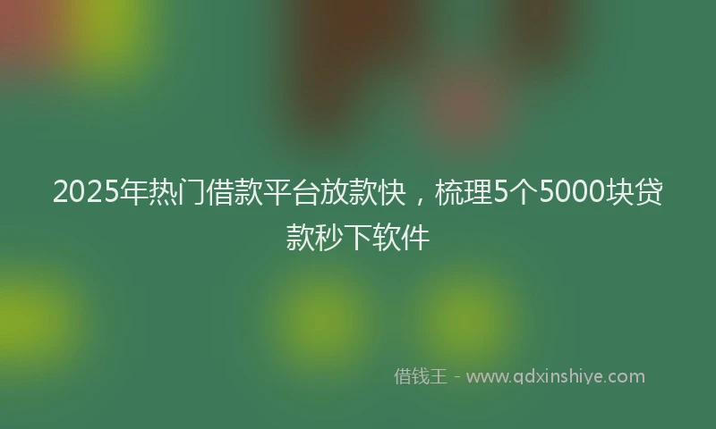 2025年热门借款平台放款快，梳理5个5000块贷款秒下软件