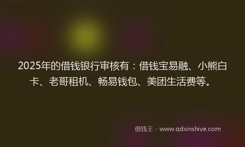 2025年的借钱银行审核有：借钱宝易融、小熊白卡、老哥租机、畅易钱包、美团生活费等。