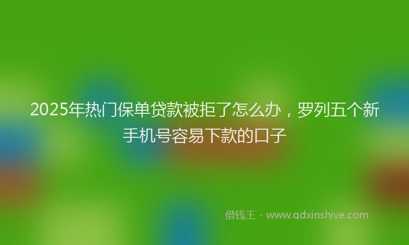 2025年热门保单贷款被拒了怎么办，罗列五个新手机号容易下款的口子