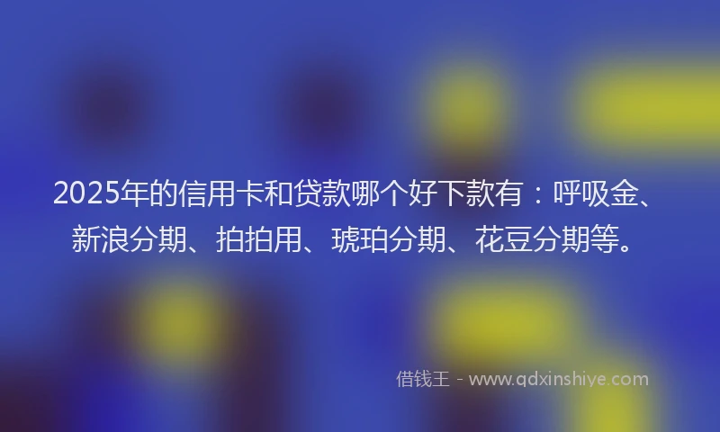 2025年的信用卡和贷款哪个好下款有：呼吸金、新浪分期、拍拍用、琥珀分期、花豆分期等。