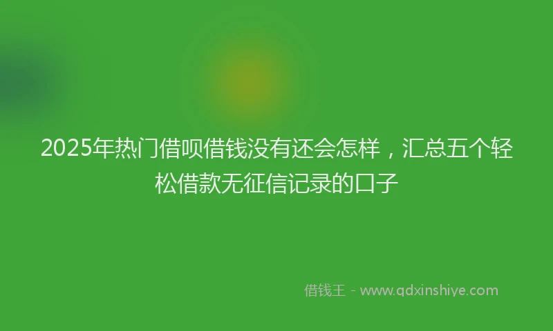 2025年热门借呗借钱没有还会怎样，汇总五个轻松借款无征信记录的口子