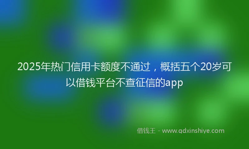 2025年热门信用卡额度不通过，概括五个20岁可以借钱平台不查征信的app
