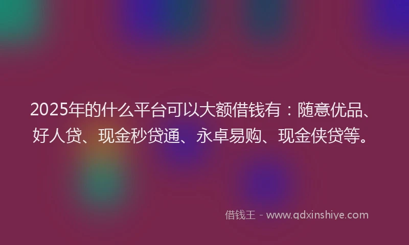 2025年的什么平台可以大额借钱有：随意优品、好人贷、现金秒贷通、永卓易购、现金侠贷等。
