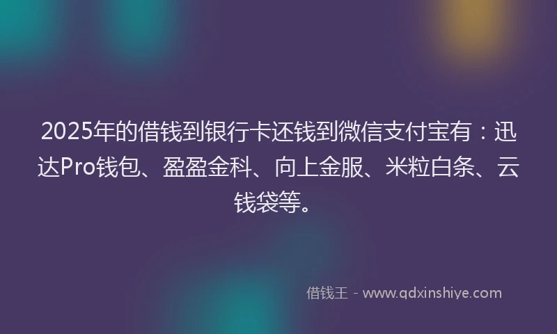 2025年的借钱到银行卡还钱到微信支付宝有：迅达Pro钱包、盈盈金科、向上金服、米粒白条、云钱袋等。