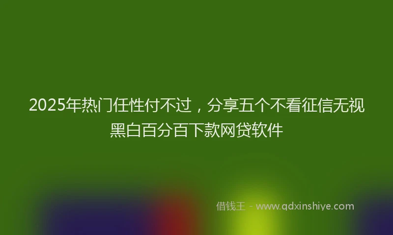 2025年热门任性付不过，分享五个不看征信无视黑白百分百下款网贷软件