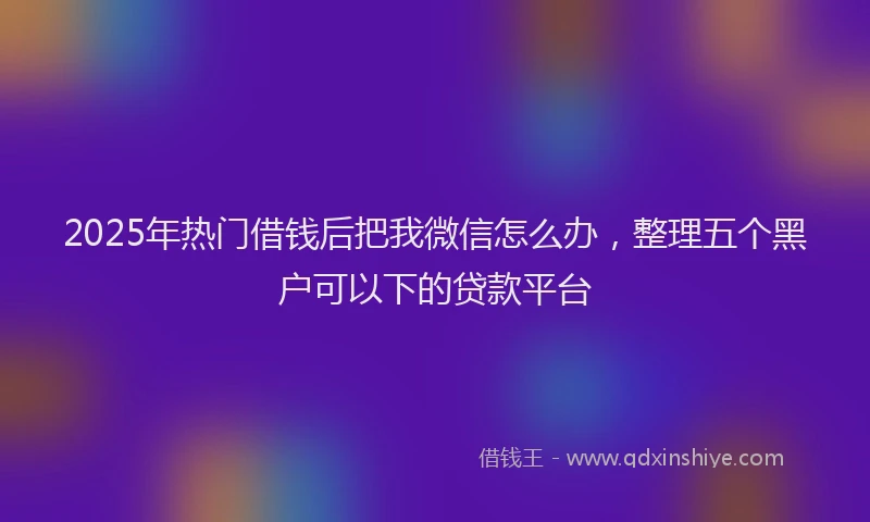 2025年热门借钱后把我微信怎么办，整理五个黑户可以下的贷款平台