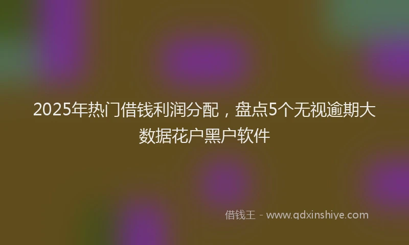 2025年热门借钱利润分配，盘点5个无视逾期大数据花户黑户软件