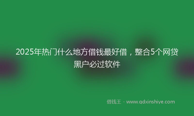 2025年热门什么地方借钱最好借，整合5个网贷黑户必过软件