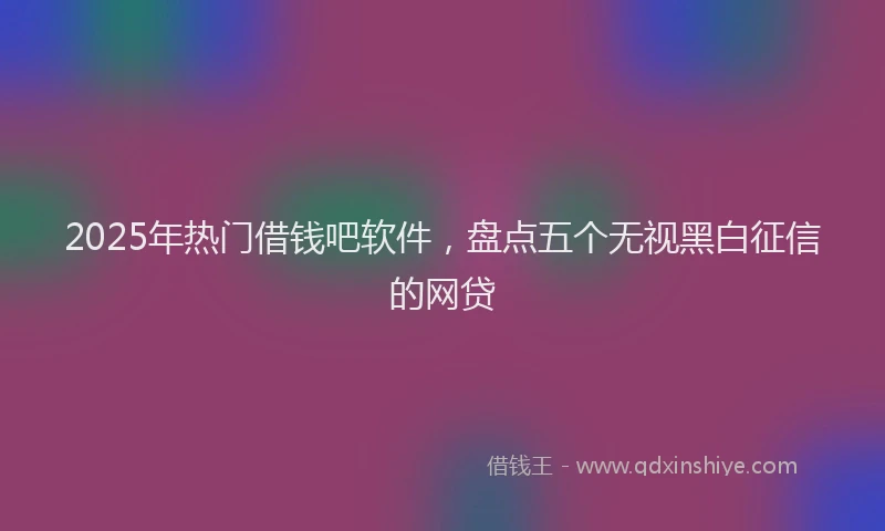 2025年热门借钱吧软件，盘点五个无视黑白征信的网贷