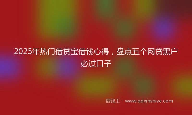 2025年热门借贷宝借钱心得，盘点五个网贷黑户必过口子