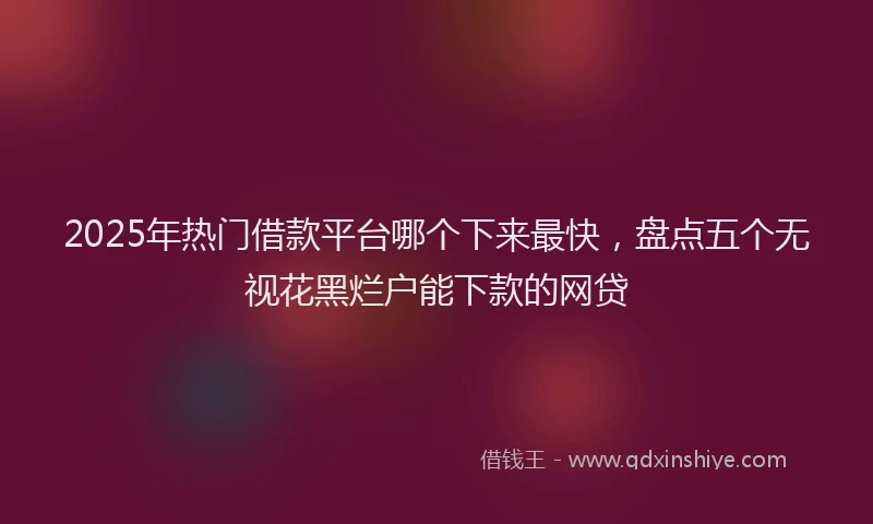 2025年热门借款平台哪个下来最快，盘点五个无视花黑烂户能下款的网贷