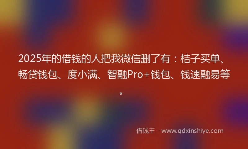 2025年的借钱的人把我微信删了有：桔子买单、畅贷钱包、度小满、智融Pro+钱包、钱速融易等。