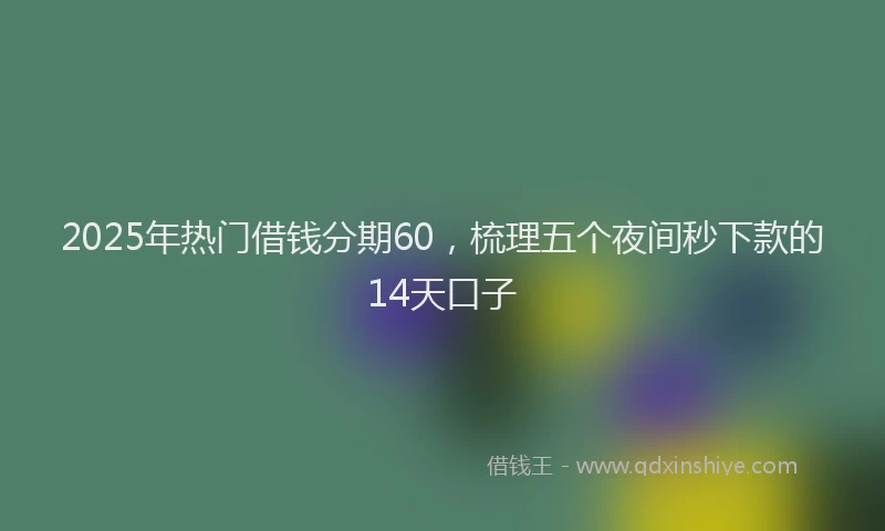 2025年热门借钱分期60，梳理五个夜间秒下款的14天口子
