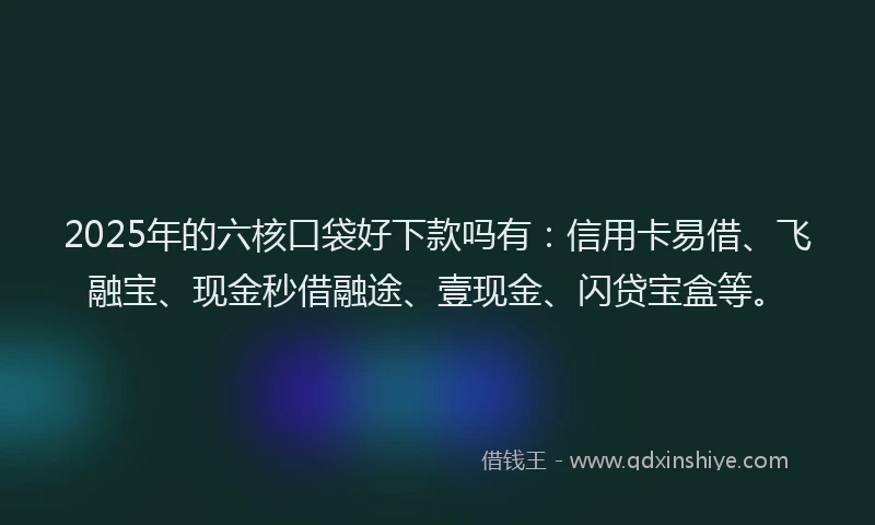 2025年的六核口袋好下款吗有：信用卡易借、飞融宝、现金秒借融途、壹现金、闪贷宝盒等。