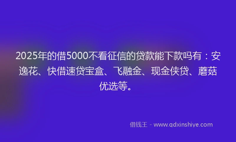 2025年的借5000不看征信的贷款能下款吗有：安逸花、快借速贷宝盒、飞融金、现金侠贷、蘑菇优选等。
