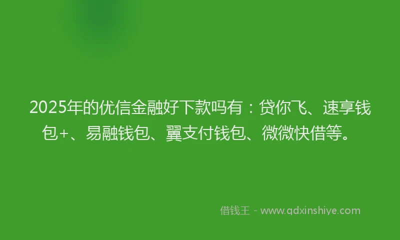 2025年的优信金融好下款吗有：贷你飞、速享钱包+、易融钱包、翼支付钱包、微微快借等。